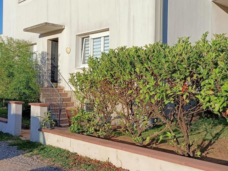 Ferienwohnung Strasbourg 3 Pieces Avec Jardin Brumath Exterior foto